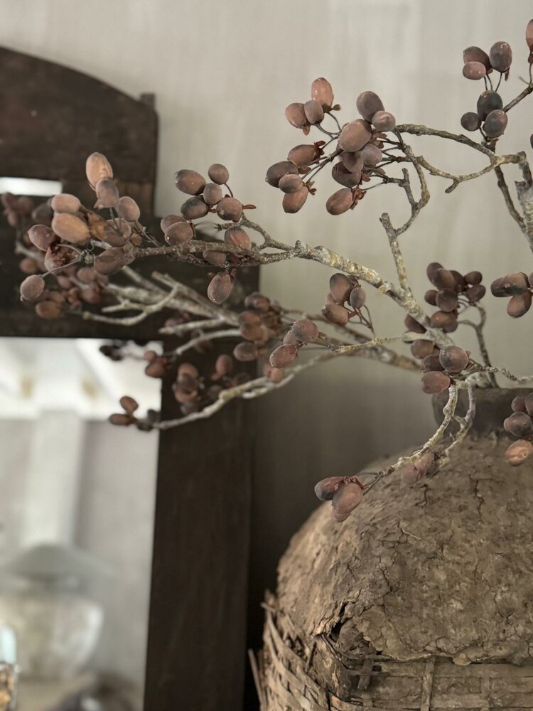 Elzentak Brynxz | Alnus Grande Brown Brynxz