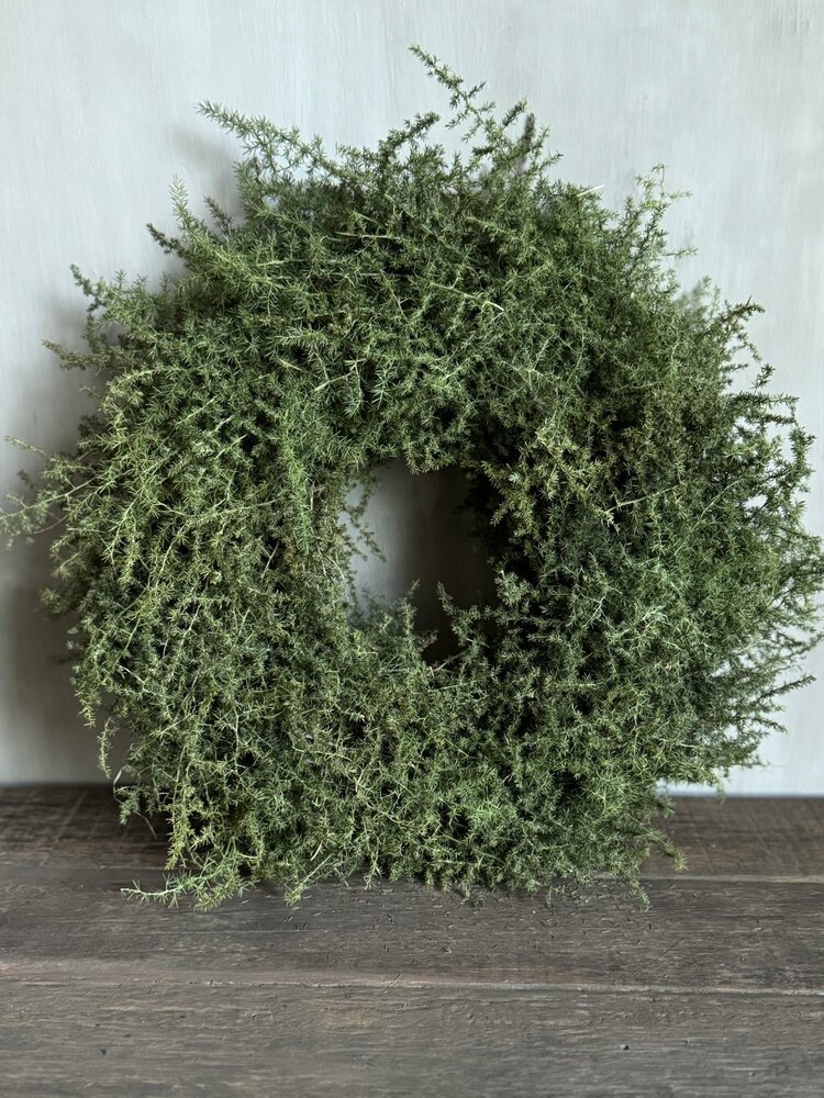 Asparagus krans 45cm