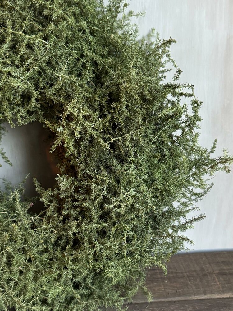 Asparagus krans 45cm