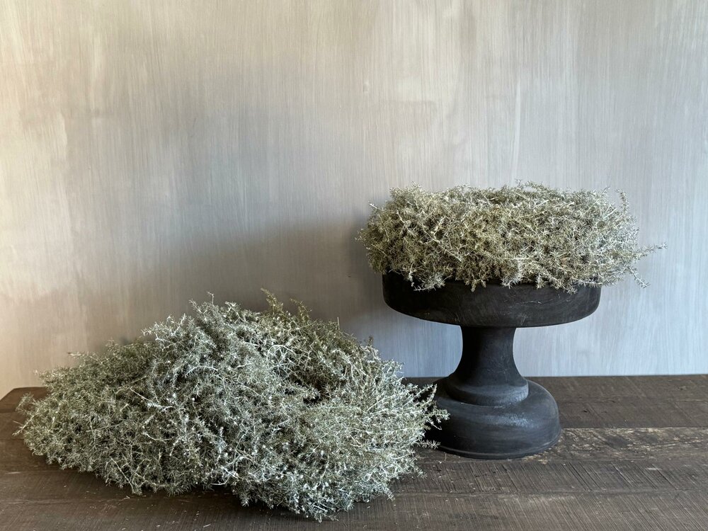 Asparagus kransje | Wilde Asparagus kransje white wash 28cm