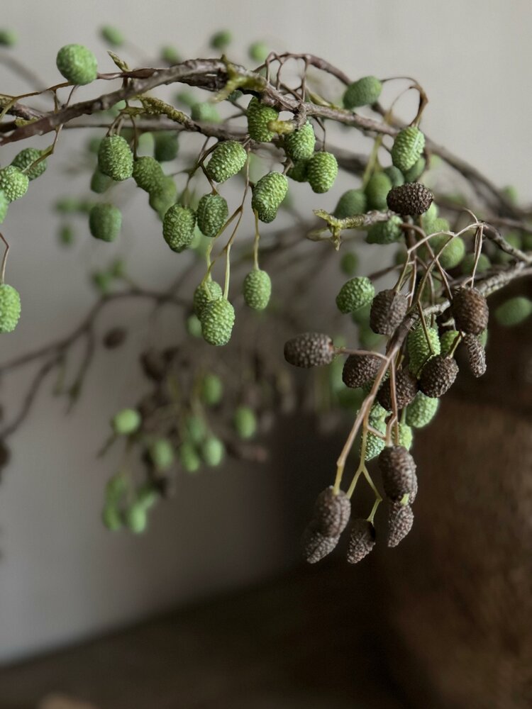 Elzentak | Catkins spray groen kunsttak