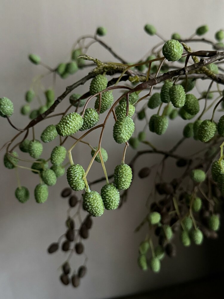 Elzentak | Catkins spray groen kunsttak