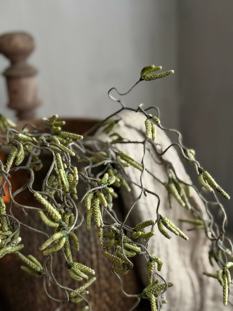 Corylus flower spray | kronkel hazelaar kunsttak