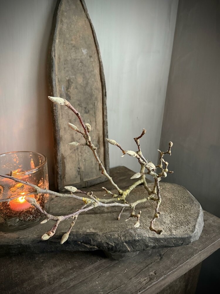 Unieke houten bajot  Hoffz