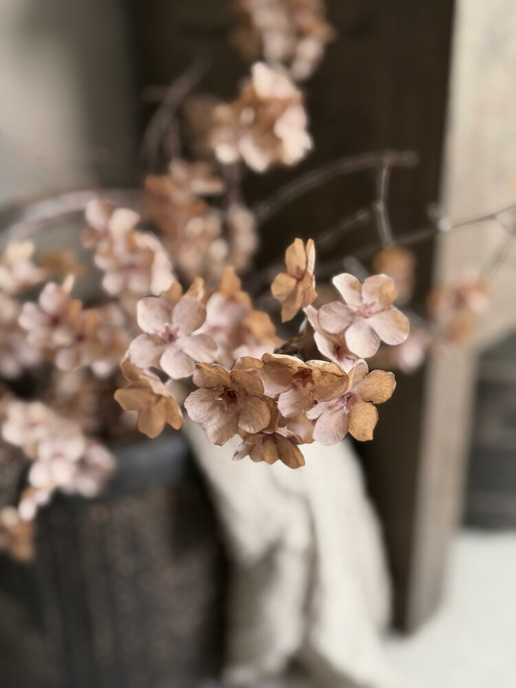 Bloesemtak taupe