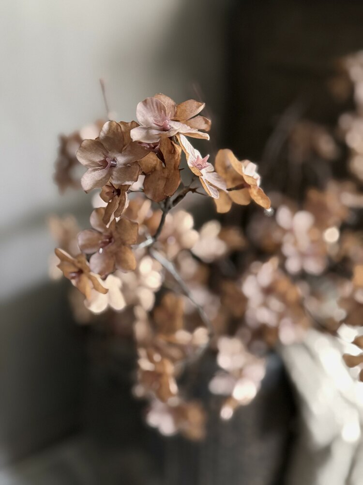 Bloesemtak taupe