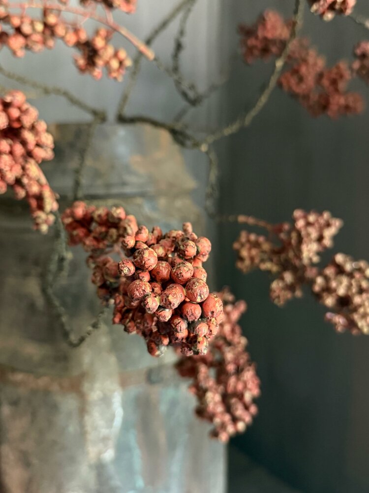 Bes Ligustrum vulgare kunsttak