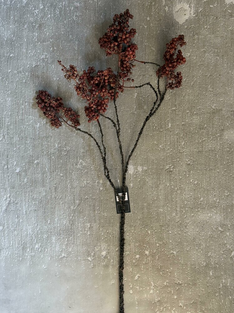 Bes Ligustrum vulgare kunsttak