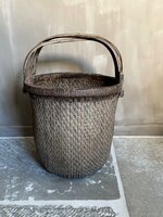 Chinese mand| Chinese plukmand D