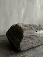 Antieke trog Aura Peeperkorn A