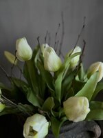 Kunst tulpen wit 