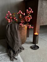 Chinese mand | Chinese plukmand Ab