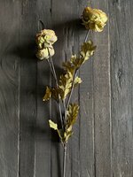 Ranuculus Grande Green| Ranonkel roest- groen kunsttak 