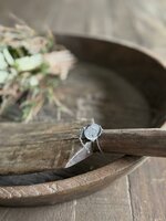 Houten schep B Hoffz 