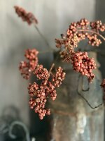 Bes Ligustrum vulgare kunsttak