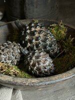 Decoratieve dennenappel M