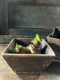 Oud rijstbakje| oud rijstschepje C