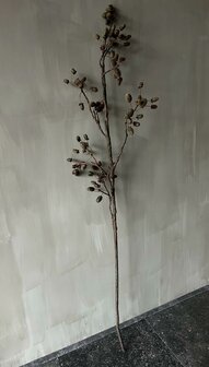 Acorn Branch 120cm