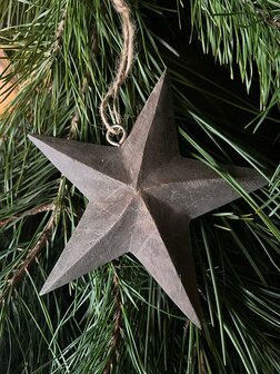 Kerstster hanger S Luksa