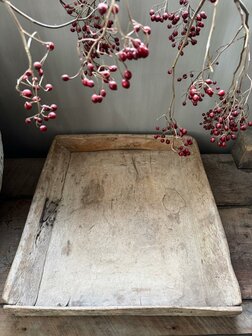 Authentieke tray Nepal
