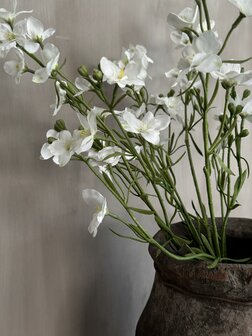 Larkspur Spray