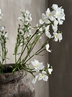 Larkspur Spray