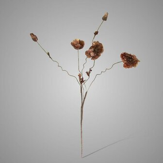 Poppy Bundle Brown Brynxz | Zijden klaproos bruin Brynxz 