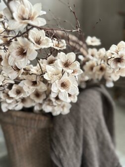 Zinnia cr&egrave;me Kunsttak