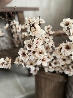 Zinnia cr&egrave;me Kunsttak