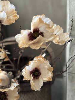Poppy Bundle Twist Off White Brynxz | Zijden klaproos off white Brynxz 