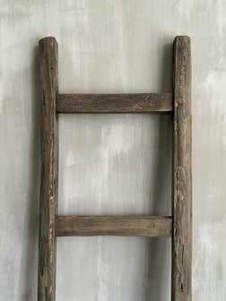 Ladder Driftwood | Ladder oud hout (afhalen)