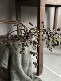Elzentak | Catkins spray kunsttak