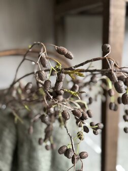 Elzentak | Catkins spray kunsttak