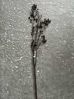 Elzentak | Catkins spray kunsttak