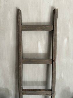 Ladder Driftwood | Ladder oud hout A (afhalen)