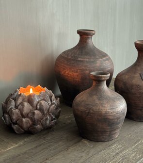 Artisjok waxine L