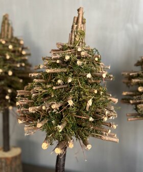 Kerstboom mos (afhalen)