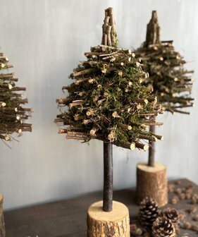 Kerstboom mos (afhalen)