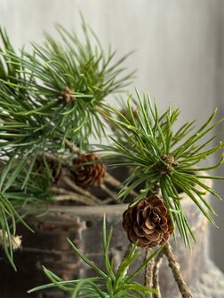 Pinus Dennen kunsttak