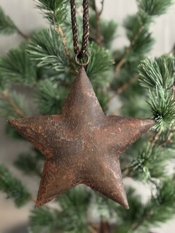 Metalen kerst ster Ravi roest 15cm