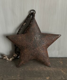 Metalen kerst ster Ravi roest 15cm