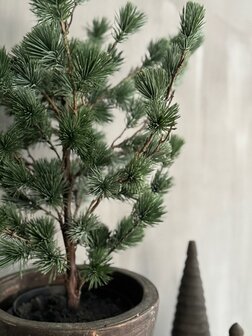 Larix boom S Real touch (afhalen)