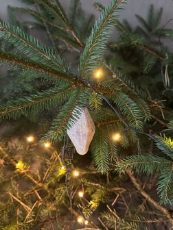 Kerst druppel small Aura Peeperkorn 