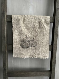 Shabby doek pompoen