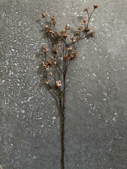 Cornus kunsttak bruin