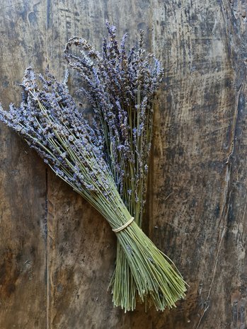 Bosje gedroogde lavendel (seizoen product)