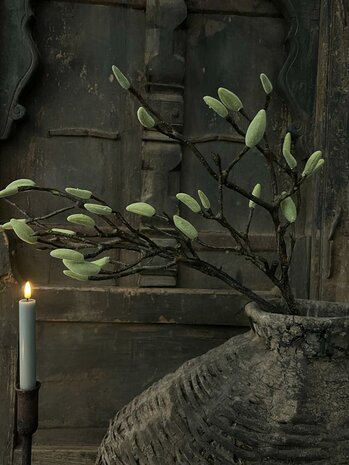 Magnolia tak (kunst tak)