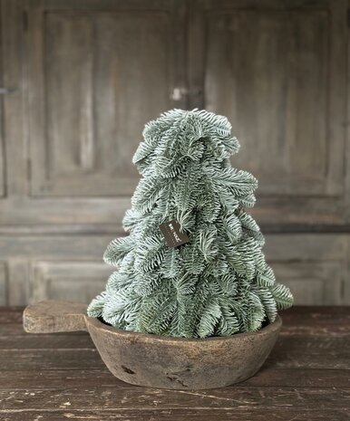 Nobilis boompje hoogte 30cm 