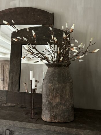 Magnolia knoptak 