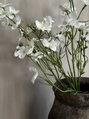 Larkspur Spray